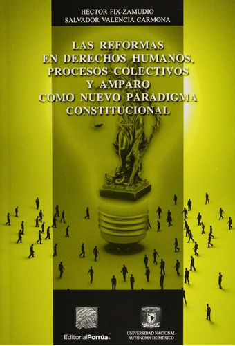 Las Reformas Derechos Humanos, Procesos Colectivos Y Amparo