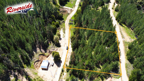 Parcela Con Gran Bosque, Ideal Para Refugio, Bucalemu