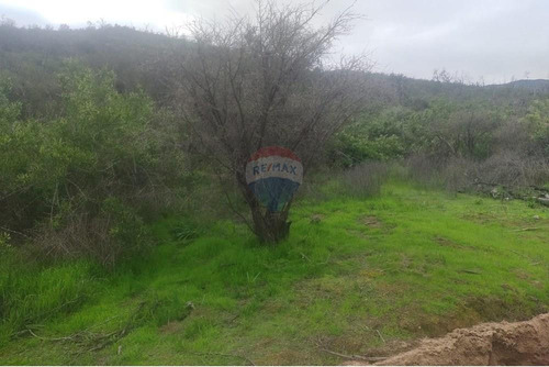 Terreno De 7,104 M2 En Oasis De La Campana