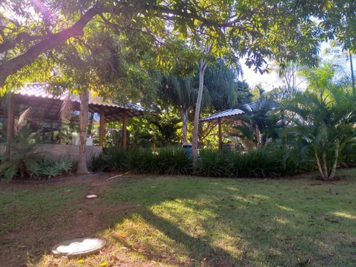Imagem 6 de 14 de Terreno Aclive De 770m2 No Condominio Parque Costa Verde - Te00027 - 69474188