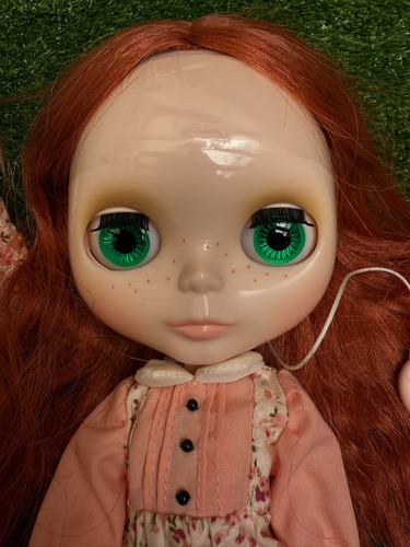 Boneca Neo Blythe Prairie Posie Takara Com Caixa Rara (Usado)