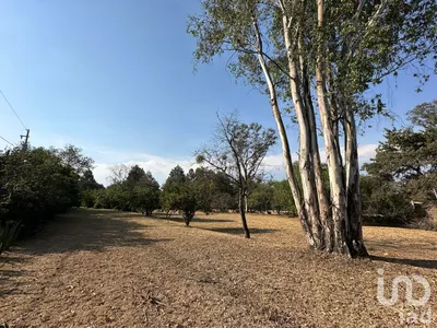 Terreno en venta