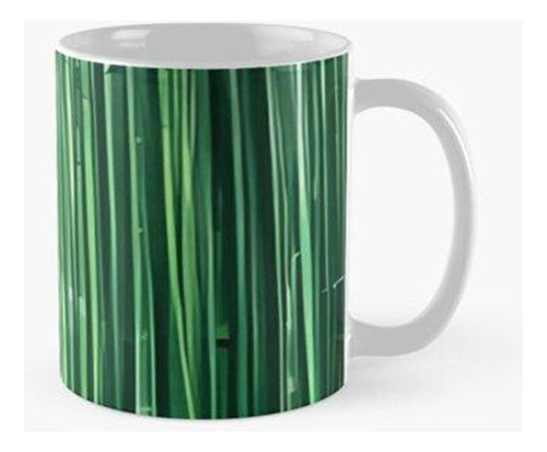 Taza Serena Belleza De Tranquilos Bosques De Bambú En Paisaj