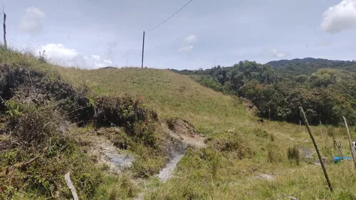 Finca En Venta En Abejorral. Cod V12641