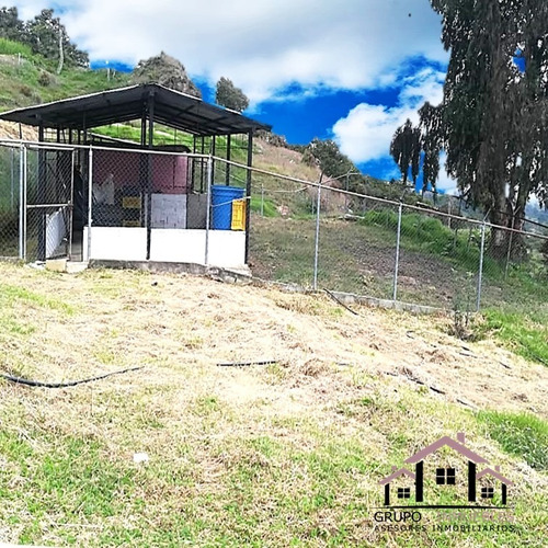 Imagen 6 de 14 de Finca Productiva En Excelente Clima
