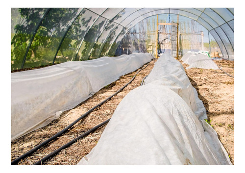 Polietileno Nylon Transparente 4m X 10m Standard Xp Rollo