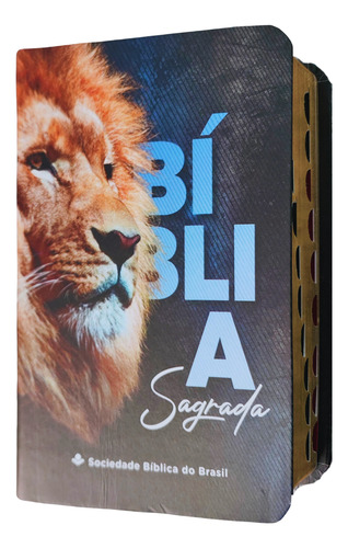 Biblia Sagrada Naa Leão Edição De Bolso Com Indice Lateral