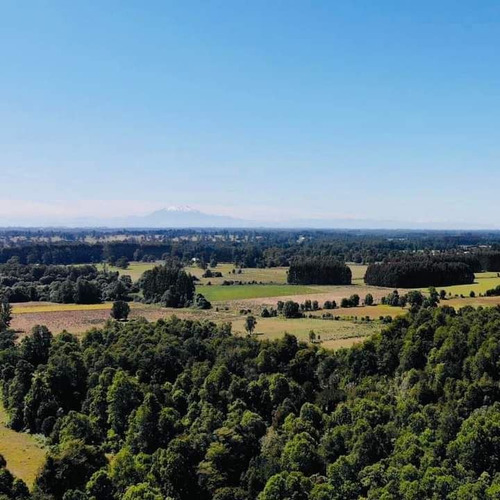 Parcelas En Frutillar, Bosque Y Praderas. Financiamiento