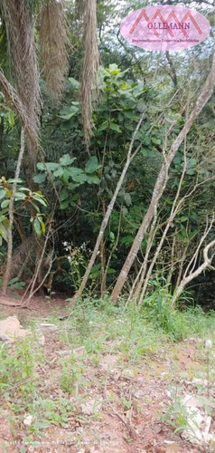 Chácara Para Venda Em Ribeirão Pires, Pilar Velho - 000333333_2-1163334
