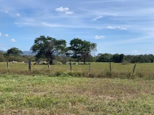 Imagen 11 de 23 de Venta De Finca Edo. Guarico, Pao Los Dos Caminos 1082 Hectáreas