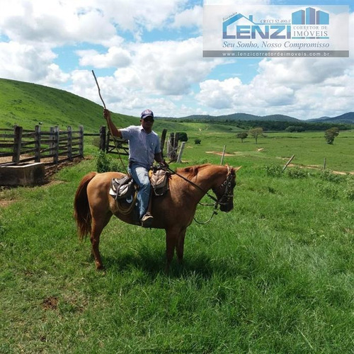 Imagem 22 de 23 de Fazendas À Venda Em Almenara/mg - Compre O Seu Fazendas Aqui! - 1489173