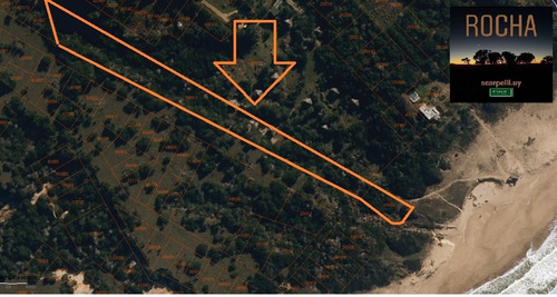 Venta Chacra Rocha La Pedrera Frente Al Mar 10000 Metros