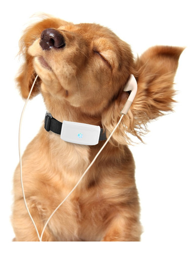 Tkstar Tk911 Rastreador Gps Ip67 Para Mascotas 2g Gsm
