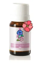 Comprar Lote 4 Aceites Para Aromaterapia Just 