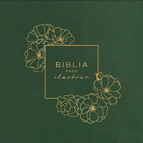 Biblia Para Ilustrar