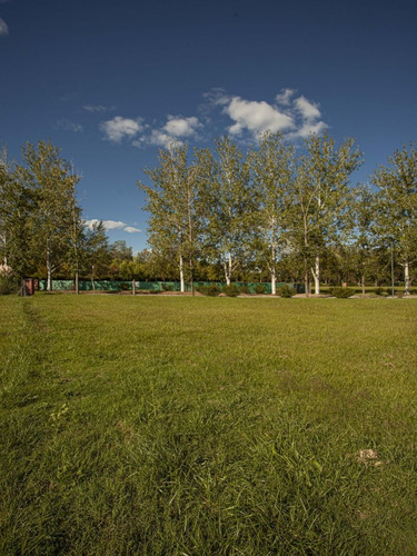 Imagen 7 de 11 de Terreno En Venta En El Tropezón
