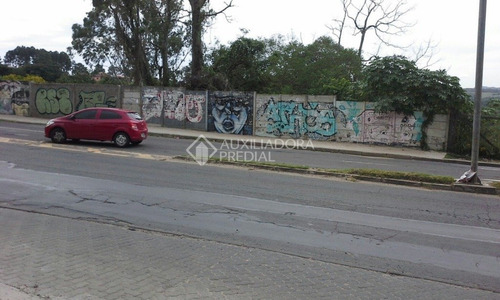Imagem 5 de 6 de Terreno - Lomba Do Pinheiro - Ref: 282949 - V-282949