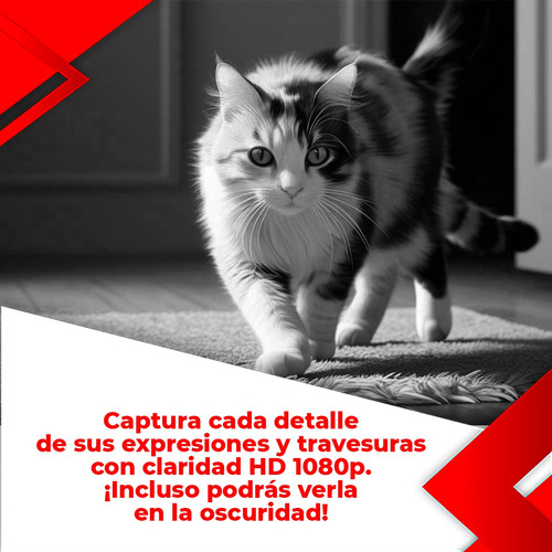 Robot Vigilar Jugar Mascotas Camara Wifi Audio 2 Vias Laser Color Blanco