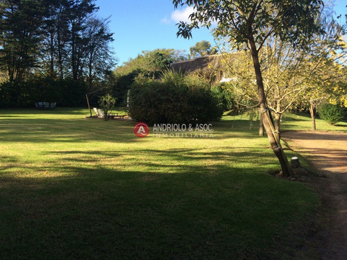 Casa En Venta Y Alquiler, Golf, Punta Del Este, 4 Dormitorios.- Ref: 6414