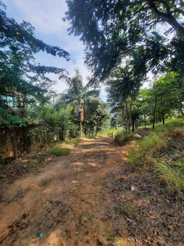 Imagem 6 de 14 de Chácara Para Venda Em Cajamar, Ponunduva, 1 Dormitório, 1 Banheiro, 1 Vaga - 23091_1-2356960