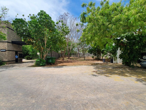 Imagen 3 de 7 de Terreno En Venta, Privada Alpha