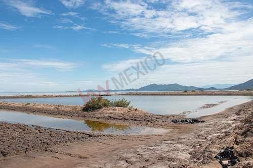 Imagen 2 de 6 de Excelente Oportunidad De Tierras Colindantes A La Marisma Y Canal La Draga .