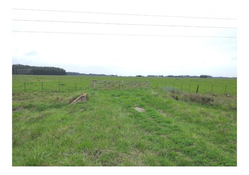 Imagen 2 de 6 de Campo En Venta En Punta Indio 93 Hectáreas Sobre Ruta