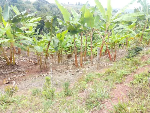 Venta Finca Restrepo Valle Del Cauca