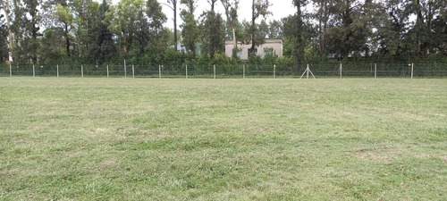 Imagen 10 de 12 de Venta-terreno -pilar- Santo Tomas-interno