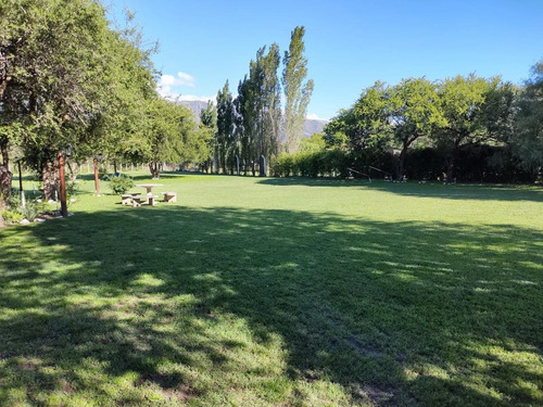 Imagen 2 de 9 de Quinta - Junin