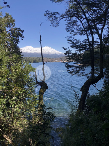 21442 - Espectaculares Sitios En Lago Pirihueico