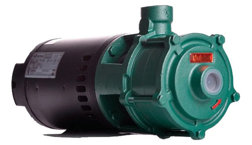Bomba Thebe Trifásica P-11/3 Noryl 1,5 Cv 220/380v