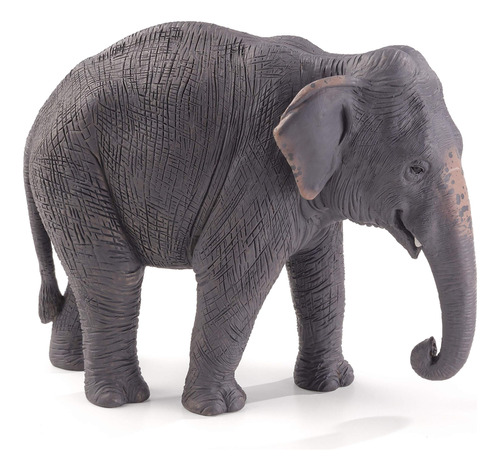 Mojo Figura De Elefante Asitico Realista Internacional De An