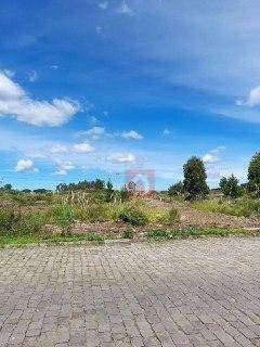 Imagem 13 de 16 de Terreno À Venda, 372 M² Por R$ 98.094,53 - Desvio Rizzo - Caxias Do Sul/rs - Te0218