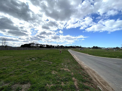 Imagen 5 de 11 de En Venta Lote 41 De Arenas Chico, Mar Del Plata.