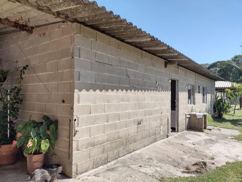 Imagem 25 de 30 de Chacara - 966 - 70321296