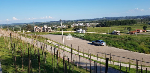 Imagem 11 de 30 de Lote De Revenda Condomínio Fechado Real Park Santa Maria - 84990