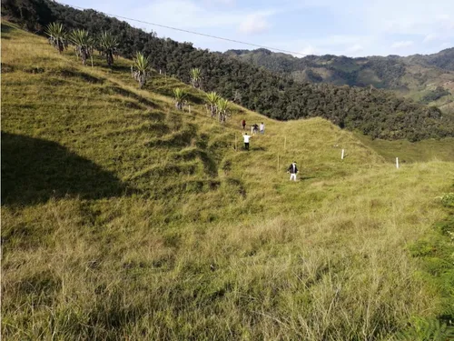 Lote En Venta De 1.386 M2, Concepción