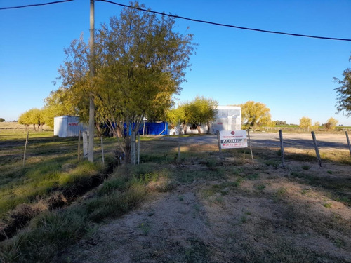 Imagen 7 de 7 de Local Con Terreno