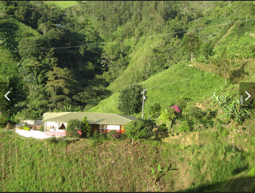 Se Vende Finca Cafetera En Pijao Quindio