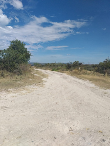 Imagen 4 de 12 de Terreno Propio Para Proyecto Residencial Campestre En San Miguel De Allende