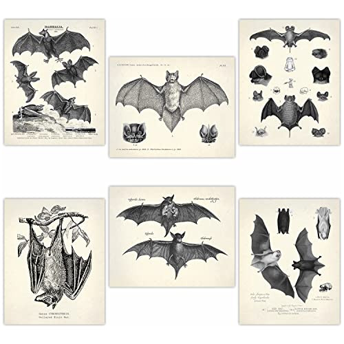 Bats Wall Art Decor - Vintage Retro Hipster Goth Hallow...