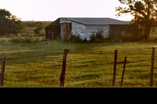 Imagen 13 de 14 de Campo En Venta En Concepcion Del Uruguay