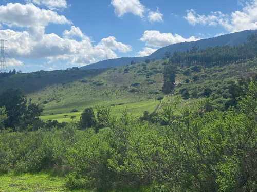 Terrenos De 20.000mts2 A 10 Km De Maitencillo