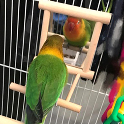 Espejo De Pájaro Con Juguete De Pájaro Para Loro De Madera C