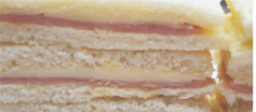 Imagen 2 de 2 de Sándwich De Miga Jamón Y Queso 12x 8, Alodewilly Mataderos