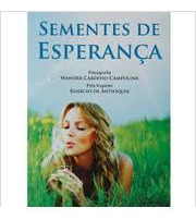 Livro Sementes De Esperança - Wander Cardoso Pelo Esp Ignácio De Antioquia [2013]