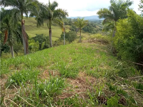 Venta De Lote En El Km 41