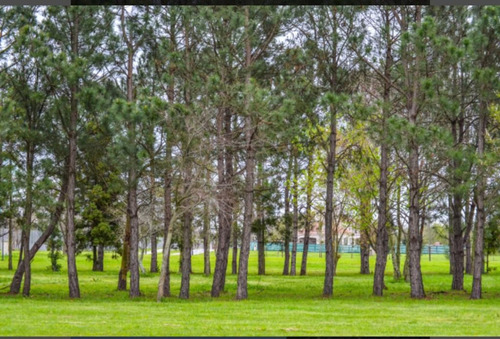 Imagen 7 de 19 de Lote/terreno En Venta En Greenville Polo &resort