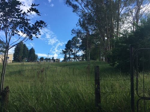 Imagem 14 de 14 de São Roque Presente De Pascoalina Olhá Só 2.000m2 Só R$140mil